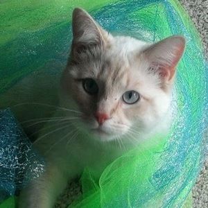 Meet your Posher, Cathy